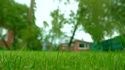 Red and green apples falling on the grass. Super slow motion shot Stock Footage 67319625