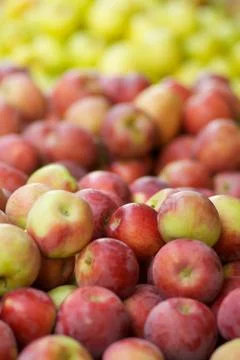 Red and green apples Stock Photos