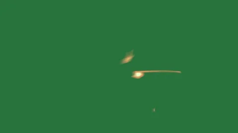 Red and Green Bird and Heart and Screen and Stock Footage 338043639