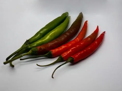 Red and green chilli Stock Photos