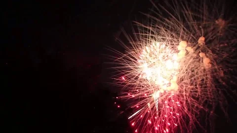 Red and Green Fireworks Explode Behind the Silhouette of a Tree Vídeo Stock 81133304