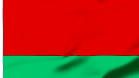 Red and green flag waving in the wind Vídeos de archivo 343573878