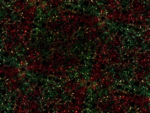 Red and Green Glitter Texture Background. Stock Footage 327165781