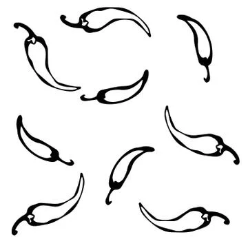 Red and Green Hot Chilli Pepper Sketch. Vector Illustration Stock Illustration