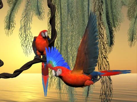 Red and Green Macaws Stockillustratie
