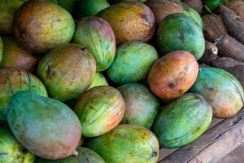 Red and green mango stack at grocery 库存照片