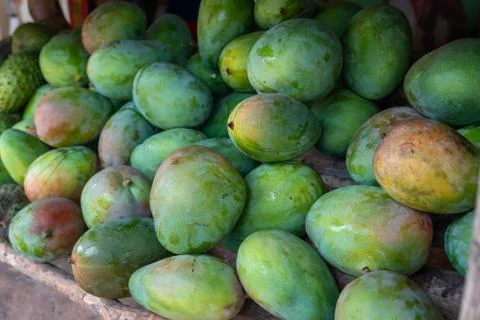 Red and green mango stack at store 库存照片