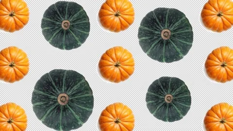 Red and green spinning pumpkins halloween animation. Alpha matte background Stock Footage 141497522