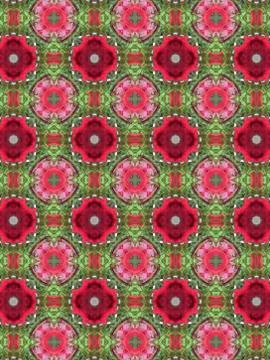 Red and green spring pattern 스톡 일러스트