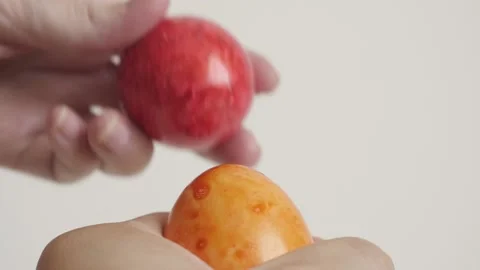 Red and orange Easter eggs fight slow motion footage Stock Footage 90165429