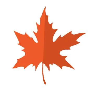 Red and orange maple leaf isolated on a white background. Autumn element  Stock Illustration