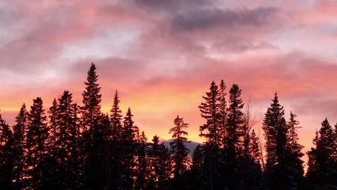 Red and orange sunset sky with snowy evergreens forest Stock Footage 84192132