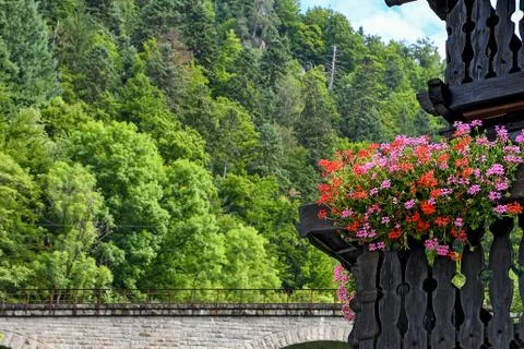 Red and pink geraniums in railing box Stock Photos