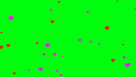 Red and pink hearts floating upward on green screen Stock Footage 341588472