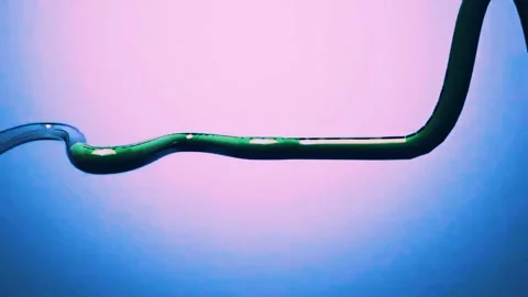 Red And Pink Liquid Pipe Animation  Video stock 236671357