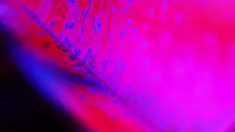 Red and purple interference pattern Stock Footage 314235742
