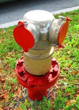 Red and Silver Fire Hydrant on a Public Street Foto stock