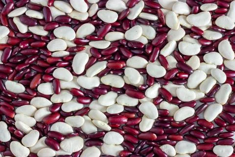 Red and white beans background Stock Photos