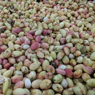 Red and white beans Stock Photos