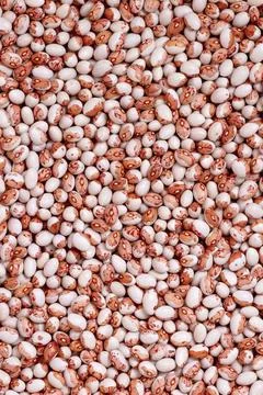 Red and white beans texture for background. Organic natural kidney bean Stock Photos