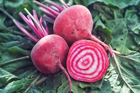 Red and white beetroot - raw beetroots with green leaves and one cut in half Stock Photos