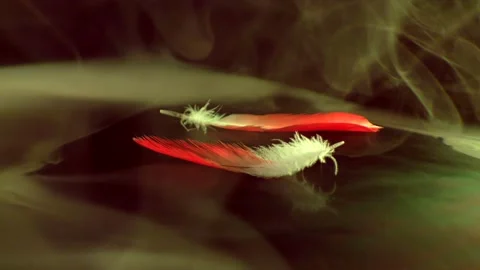 A red and white bird feather falls on a black mirror in smoke. Video stock 170423732