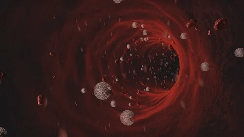 Red and white blood cell flow into vein animation cgi Vídeo Stock 129448211