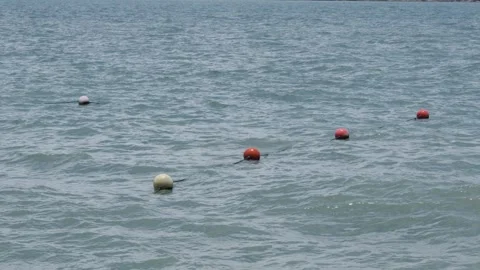 Red and white buoys, connected by a rope, bob up and down in in green-gray Stock Footage 292951361