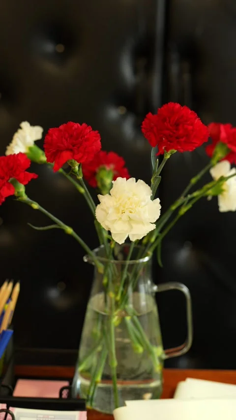 Red and white carnation flowers in a glass water pitcher Stock Footage 334872108