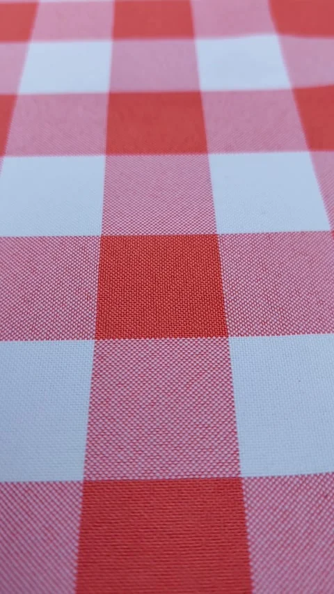 Red and white checkered pattern on textile fabric in closeup view Stock Footage 320639752