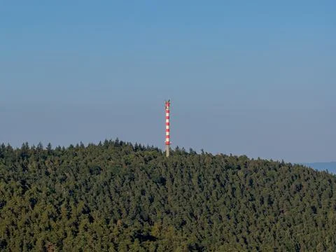 Red and White Communication Tower Standing Above Dense Pine Forest On Rolli.. Stock Photos