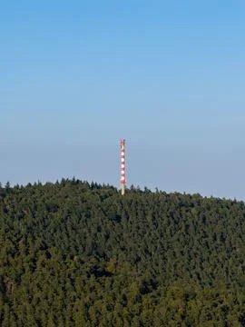 Red And White Communication Tower Rising Above Dense Pine Forest Under Clea.. Stock Photos