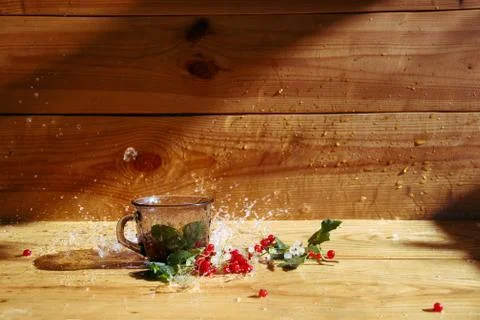 Red and white currant drinks recipes with fresh mint. a cup of splash of water Stock Photos