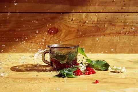 Red and white currant drinks recipes with fresh mint. a cup of splash of water Stock Photos