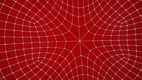 Red and white digital network in cobweb design Stock Footage 103940829