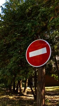 A red and white do not enter traffic sign placed on a tree trunk Stock Photos