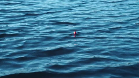 Red and white fishing float bobbing on calm dark blue water surface. Stock Footage 337545548