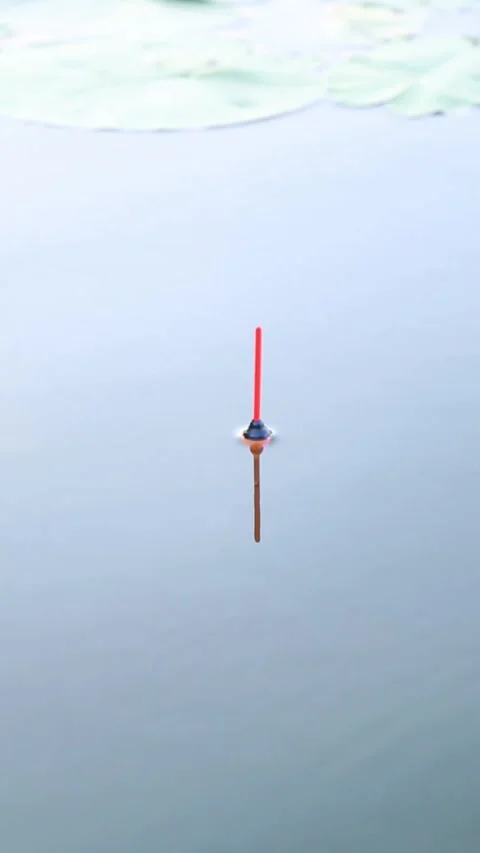 Red And White Fishing Float Bobbing On Calm Pond Water Stock Footage 340310365