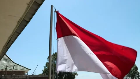 The red and white flag flies on the school yard pole Stock Footage 282572347