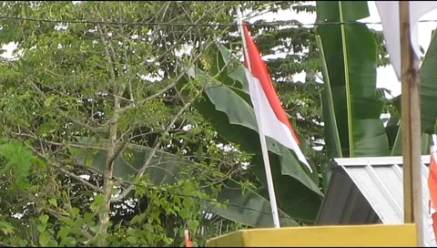 Red and white flag fluttering in the wind Stock Footage 206228982