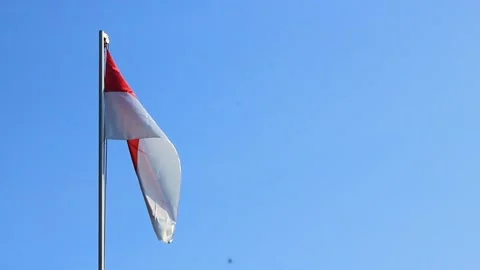 The red and white flag flutters in the blue sky on Independence Day Stock Footage 280816185