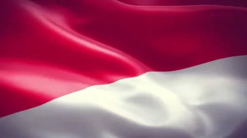 Red and white flag flying Stock Footage 205008536