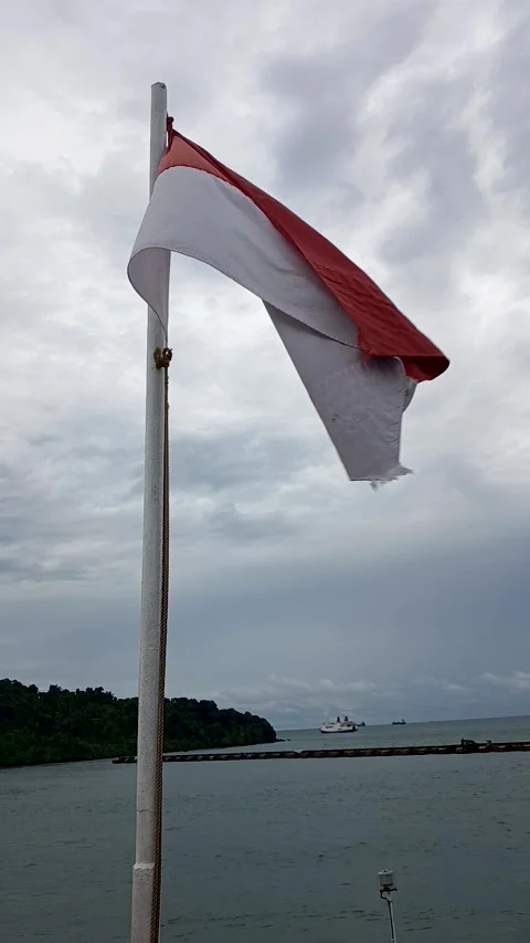 The red and white flag Stock Footage 310558397