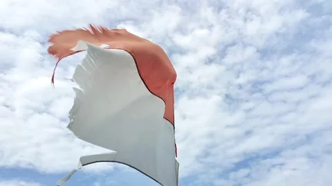 Red and white flag Stock Footage 327010592