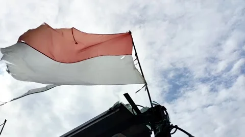 Red and white flag Stock Footage 327010612