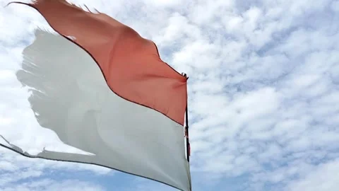 Red and white flag Stock Footage 327010613