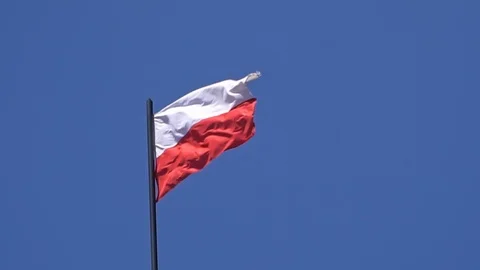 Red-and-white flag of Poland on blue sky background Stock Footage 113258136