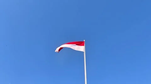 Red and white flag on a pole fluttering in the wind Stock Footage 313199122