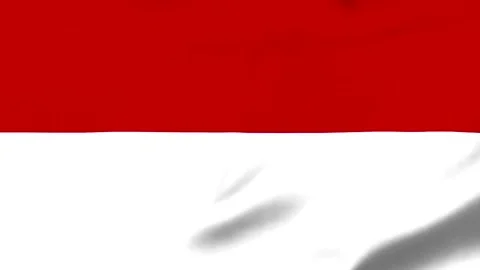 Red and white flag waving in the wind with transparent background Video stock 343573383