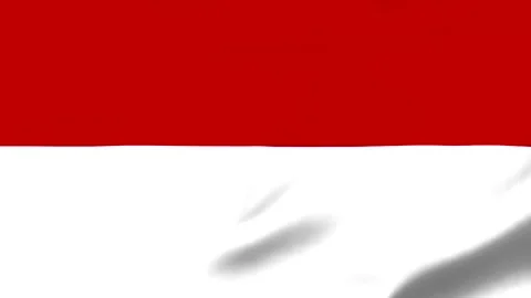 Red and white flag waving in the wind with transparent background Video stock 343574097